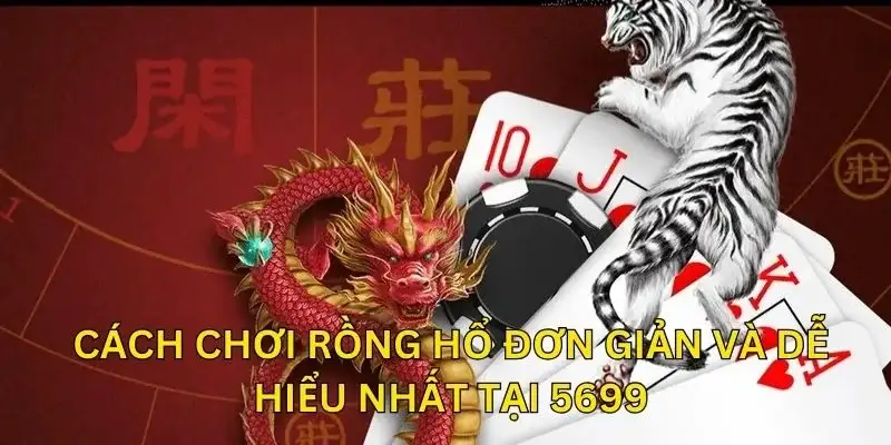 Cách chơi rồng hổ đơn giản và dễ hiểu nhất tại 5699