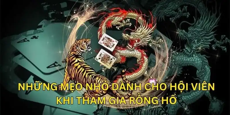 Những mẹo nhỏ dành cho hội viên khi tham gia rồng hổ