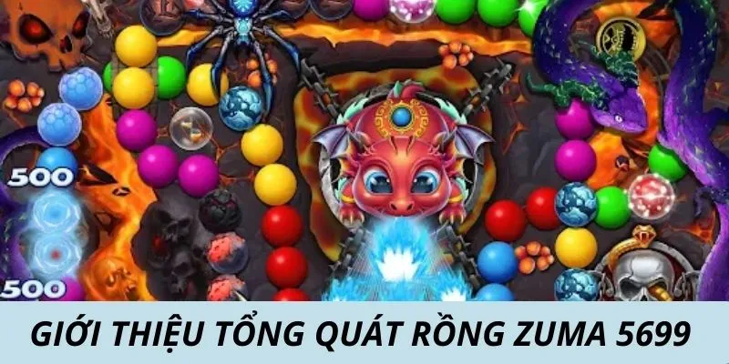 Giới thiệu tổng quát rồng Zuma 5699