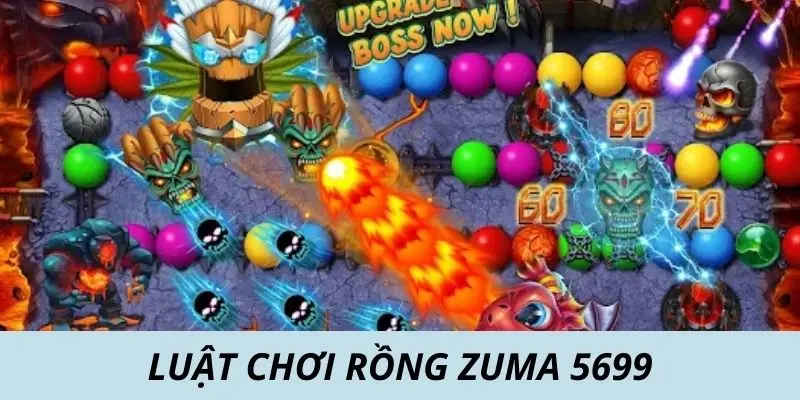 Luật chơi rồng Zuma 5699