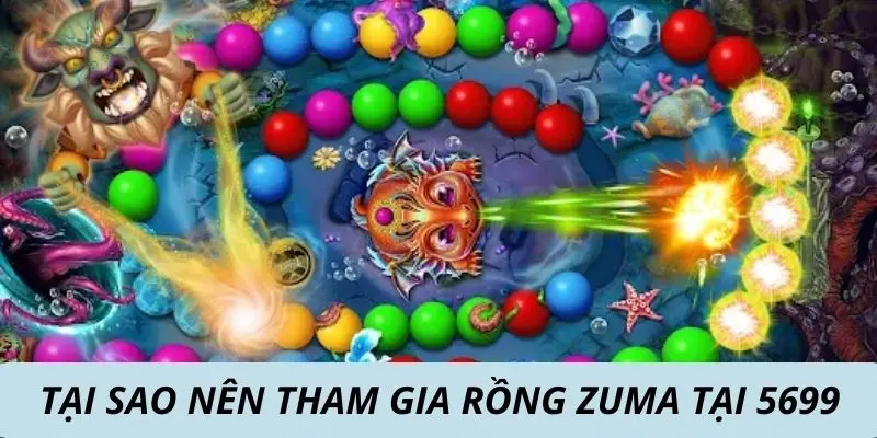 Tại sao nên tham gia rồng Zuma tại 5699